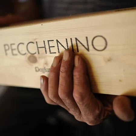 فندق مبيت وإفطار Casapecchenino 4*