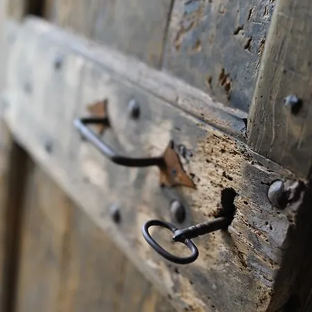 Casapecchenino ドリアーニ