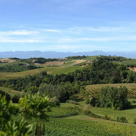 Casapecchenino